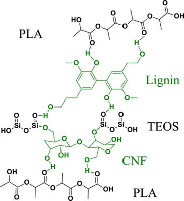Cross-linking lignin and cellulose with polymers using siloxane compounds